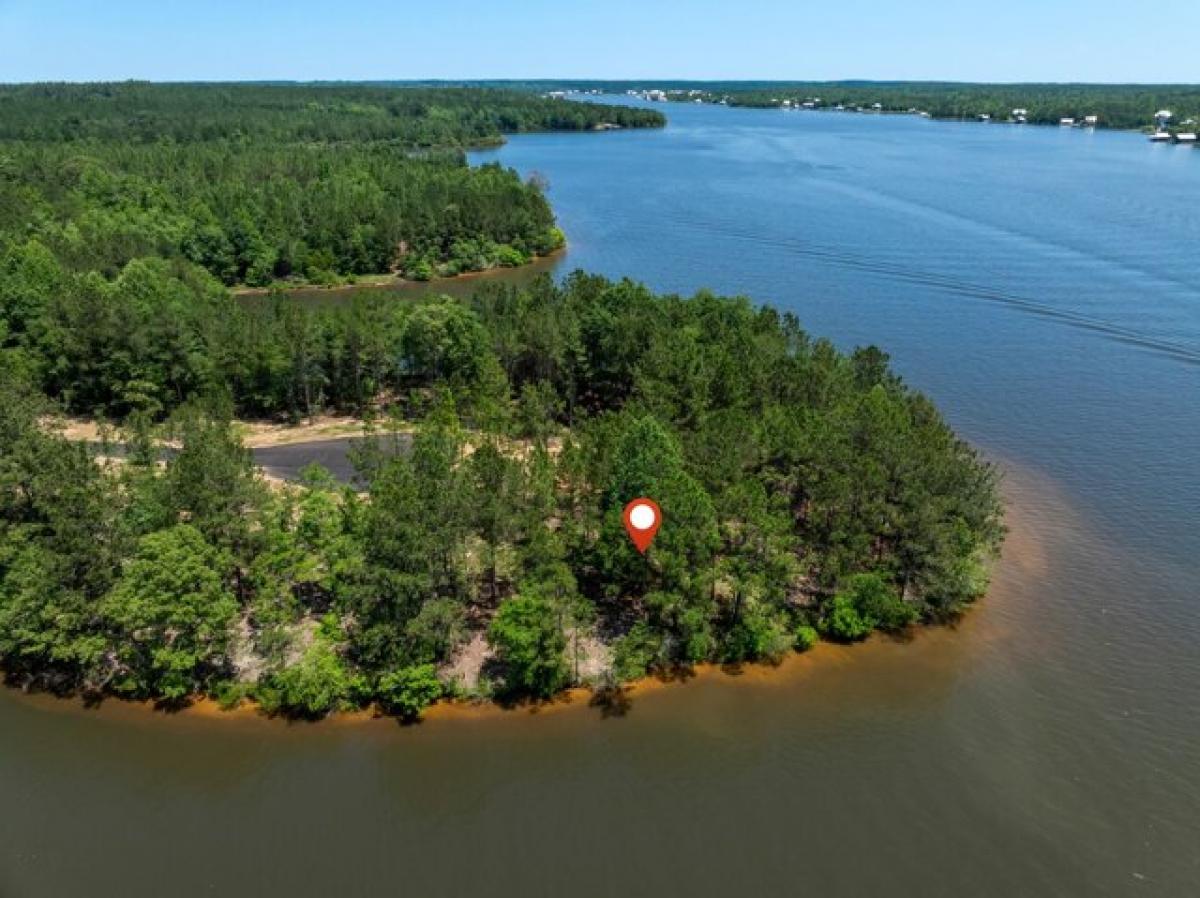 Picture of Residential Land For Sale in Lumberton, Mississippi, United States