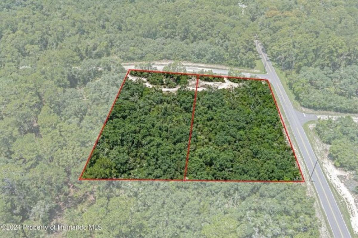 Picture of Residential Land For Sale in Webster, Florida, United States