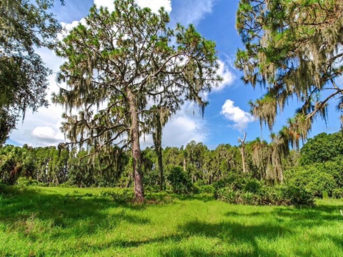 Picture of Residential Land For Sale in Wimauma, Florida, United States