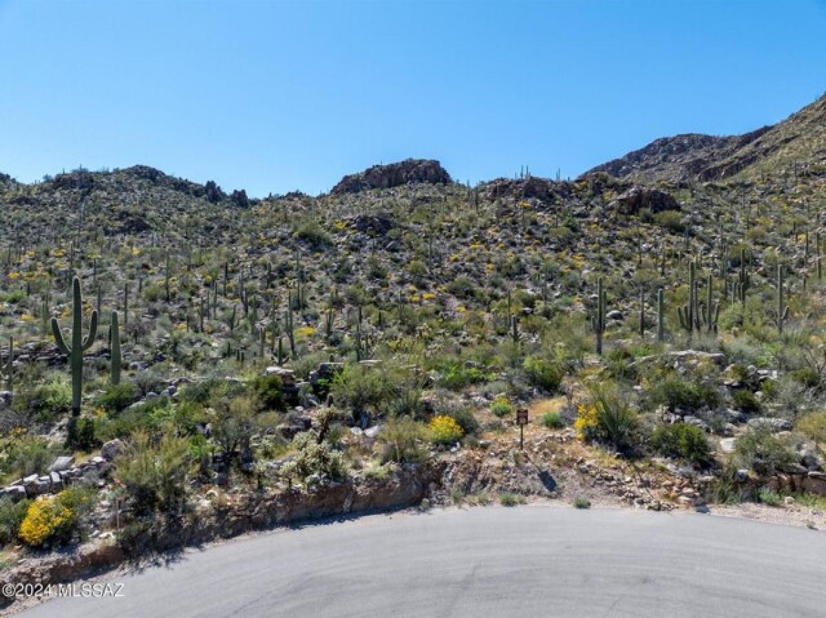 Picture of Residential Land For Sale in Marana, Arizona, United States