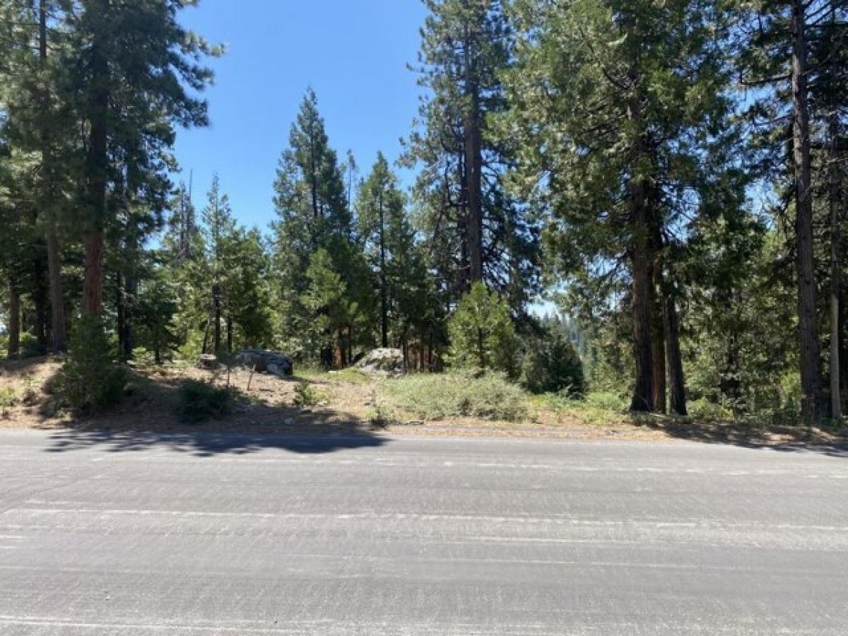 Picture of Residential Land For Sale in Shaver Lake, California, United States