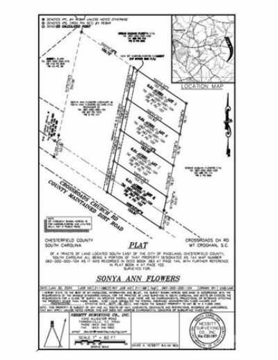 Residential Land For Sale in Mount Croghan, South Carolina