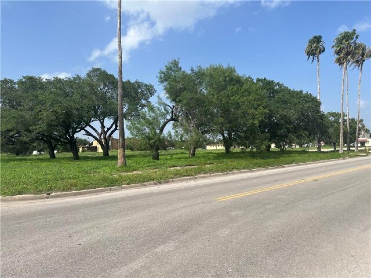 Picture of Residential Land For Sale in Kingsville, Texas, United States