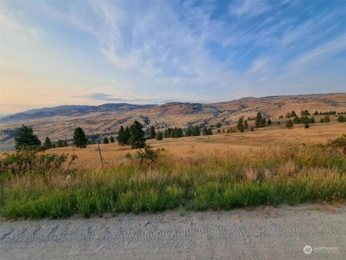 Picture of Residential Land For Sale in Oroville, Washington, United States