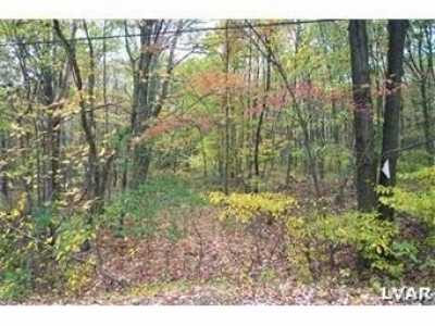 Residential Land For Sale in Bushkill, Pennsylvania