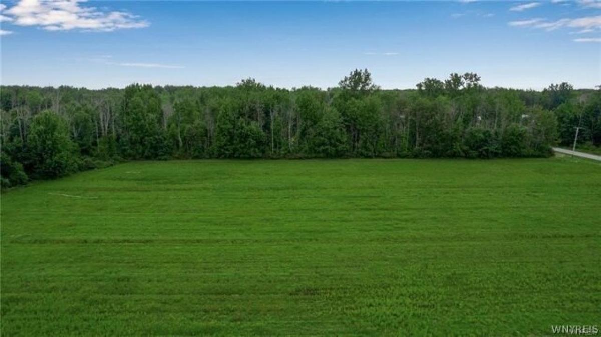 Picture of Residential Land For Sale in Clarence, New York, United States