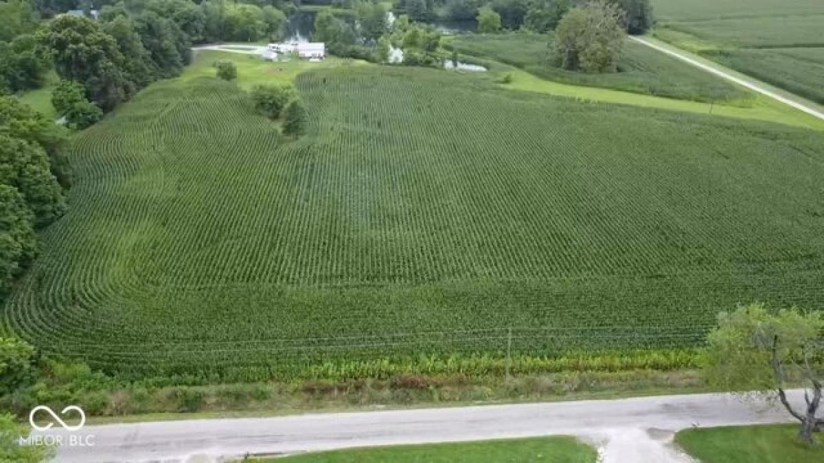 Picture of Residential Land For Sale in Quincy, Indiana, United States