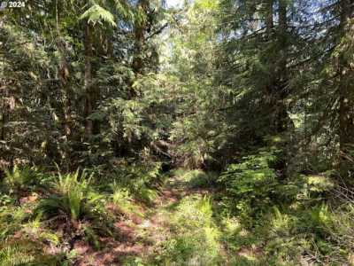 Residential Land For Sale in Lowell, Oregon