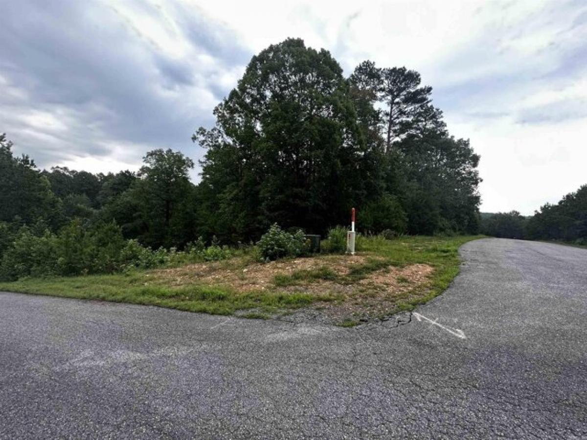 Picture of Residential Land For Sale in Shirley, Arkansas, United States