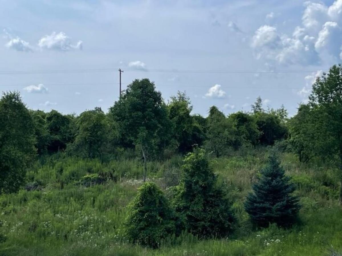 Picture of Residential Land For Sale in Casnovia, Michigan, United States