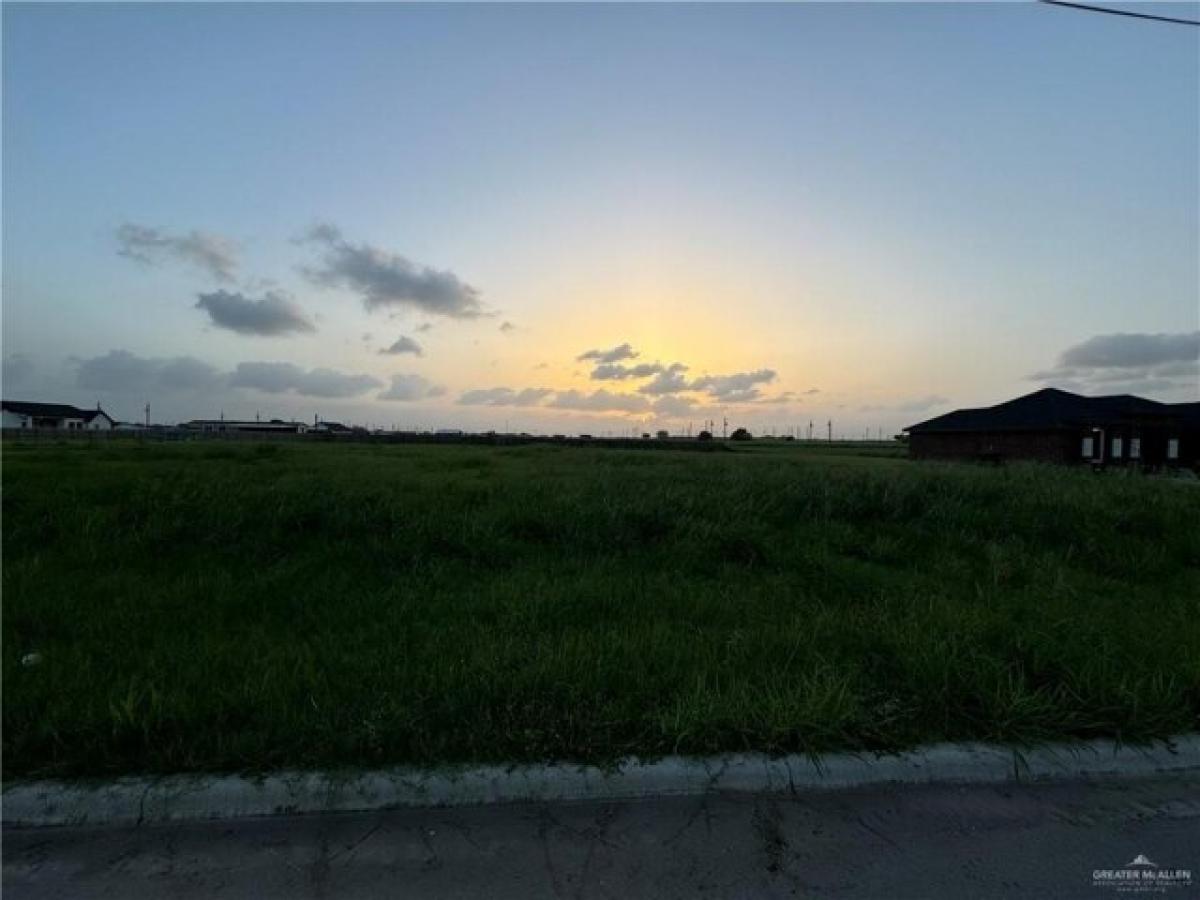 Picture of Residential Land For Sale in Monte Alto, Texas, United States