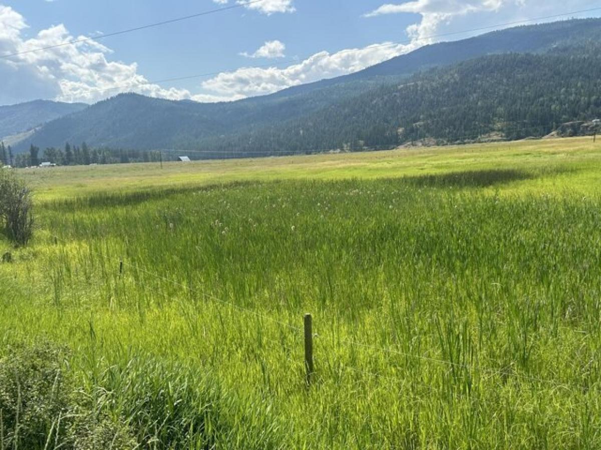 Picture of Residential Land For Sale in Colville, Washington, United States