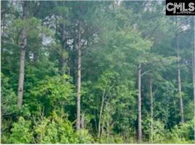 Residential Land For Sale in Manning, South Carolina