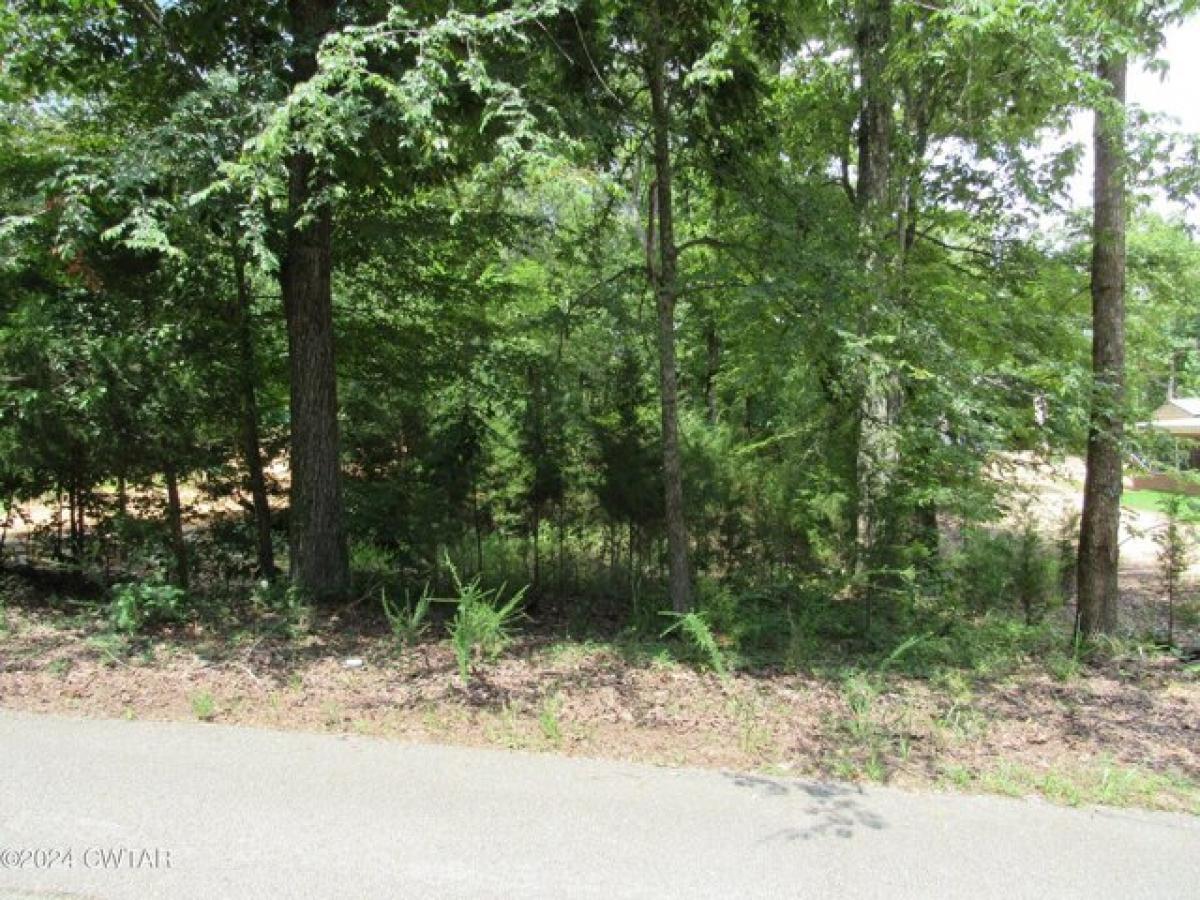 Picture of Residential Land For Rent in Sugar Tree, Tennessee, United States