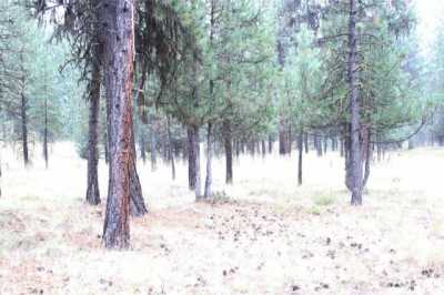 Residential Land For Sale in 