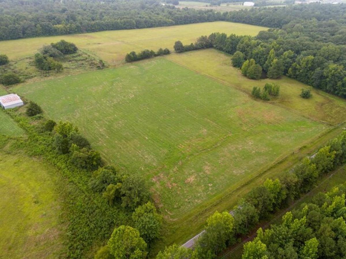 Picture of Residential Land For Sale in Somerville, Alabama, United States