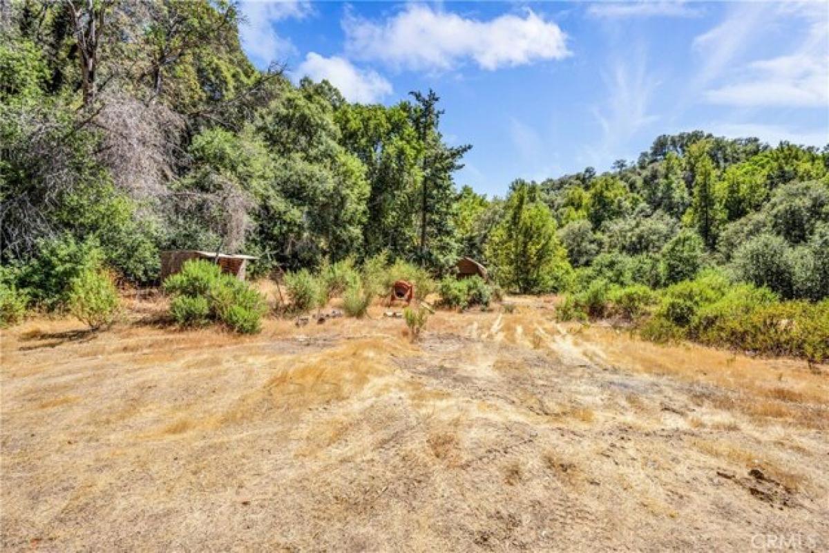 Picture of Residential Land For Sale in Upper Lake, California, United States