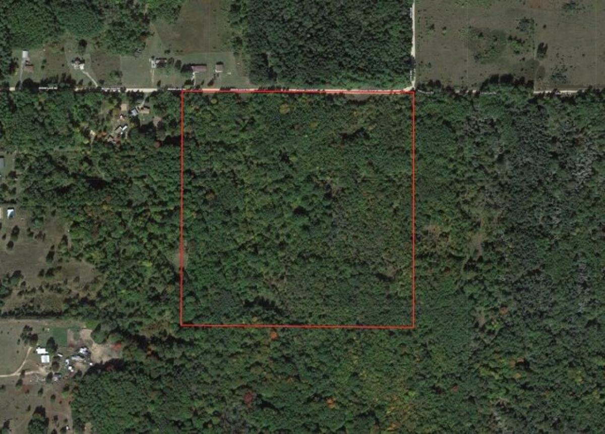 Picture of Residential Land For Sale in Remus, Michigan, United States