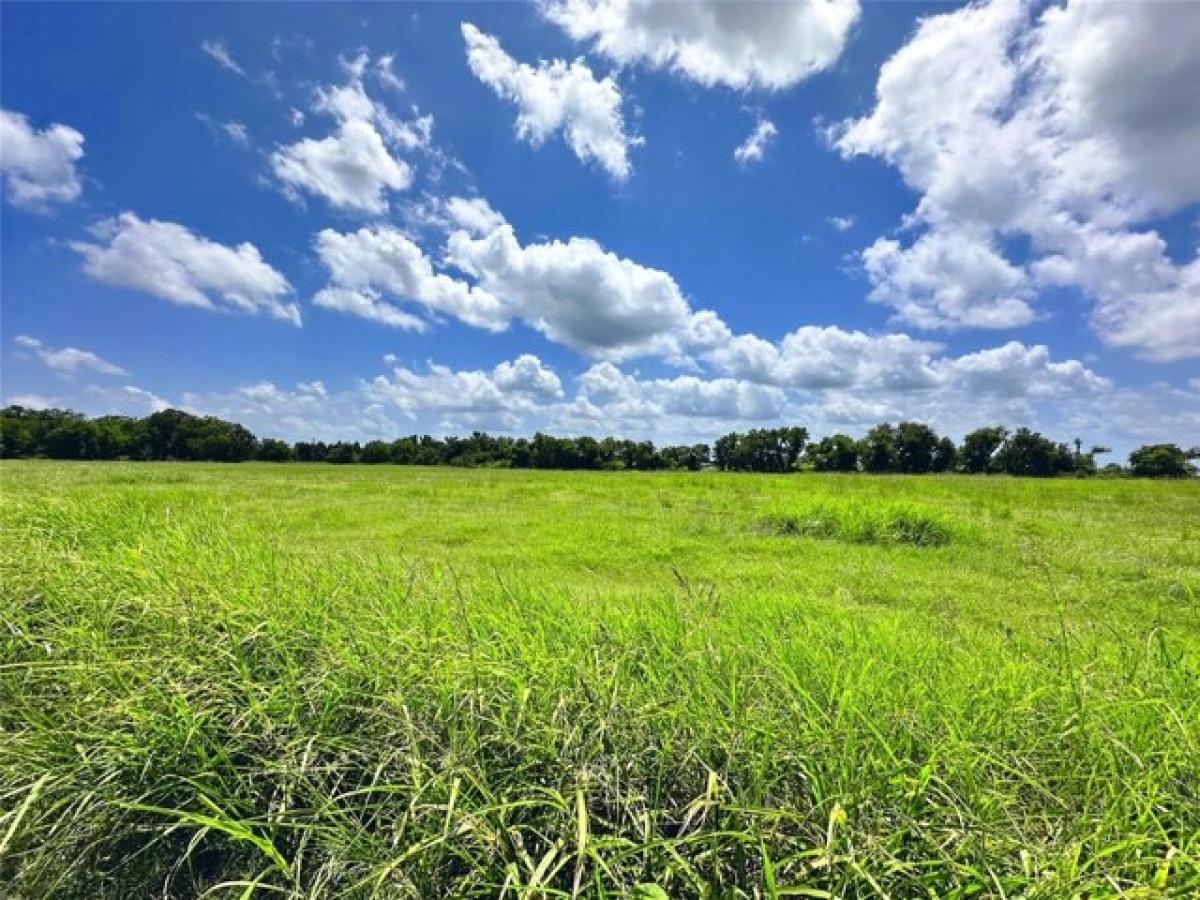 Picture of Residential Land For Sale in Kerens, Texas, United States