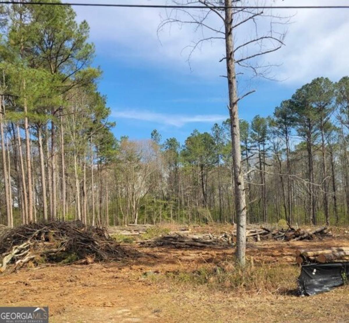 Picture of Residential Land For Sale in Sharpsburg, Georgia, United States