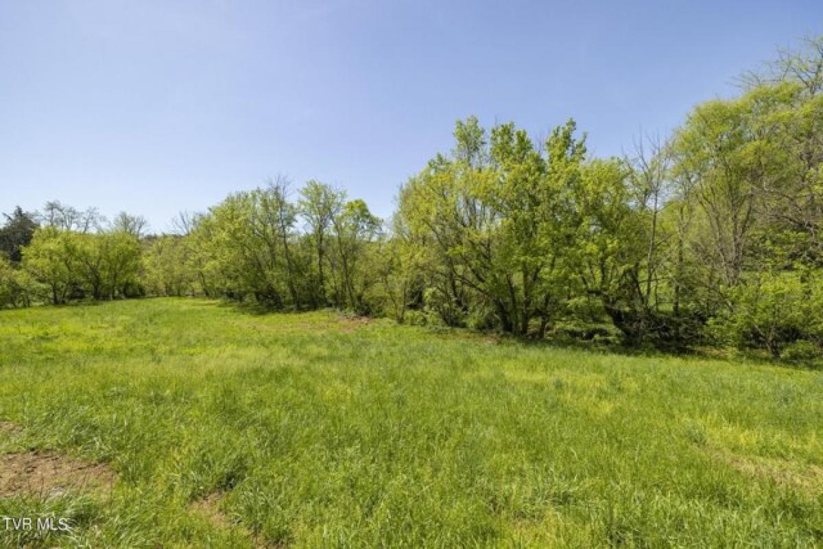 Picture of Residential Land For Sale in Greeneville, Tennessee, United States