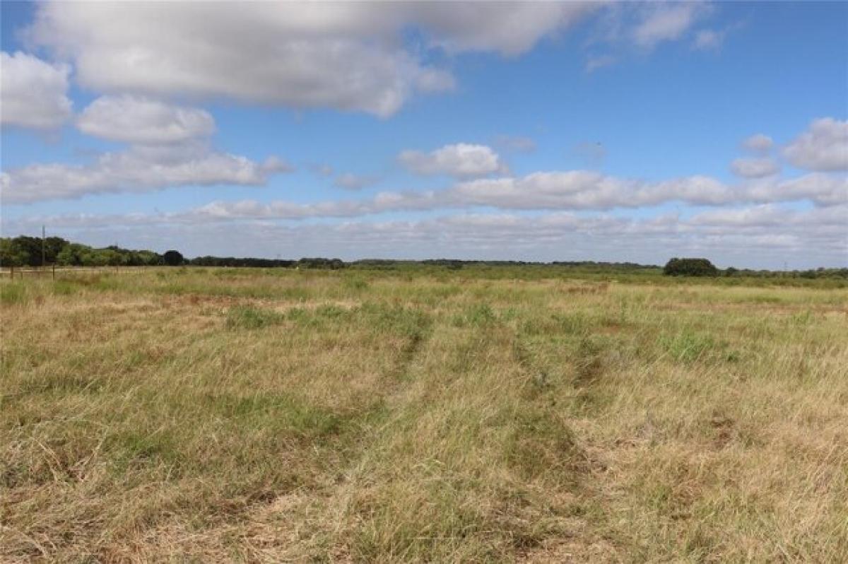 Picture of Residential Land For Sale in Early, Texas, United States