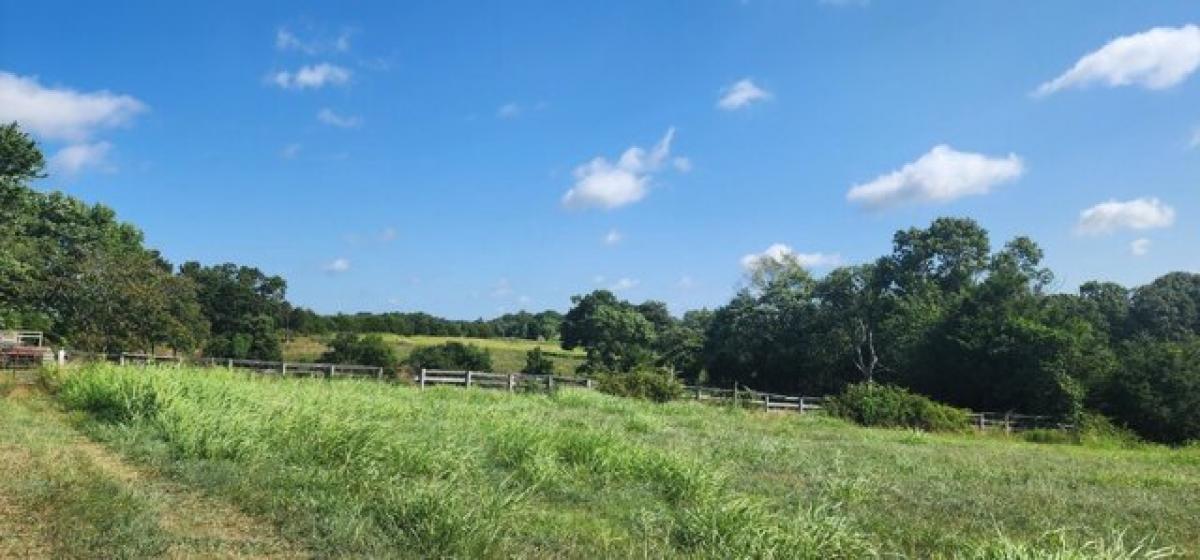 Picture of Residential Land For Sale in Washburn, Missouri, United States