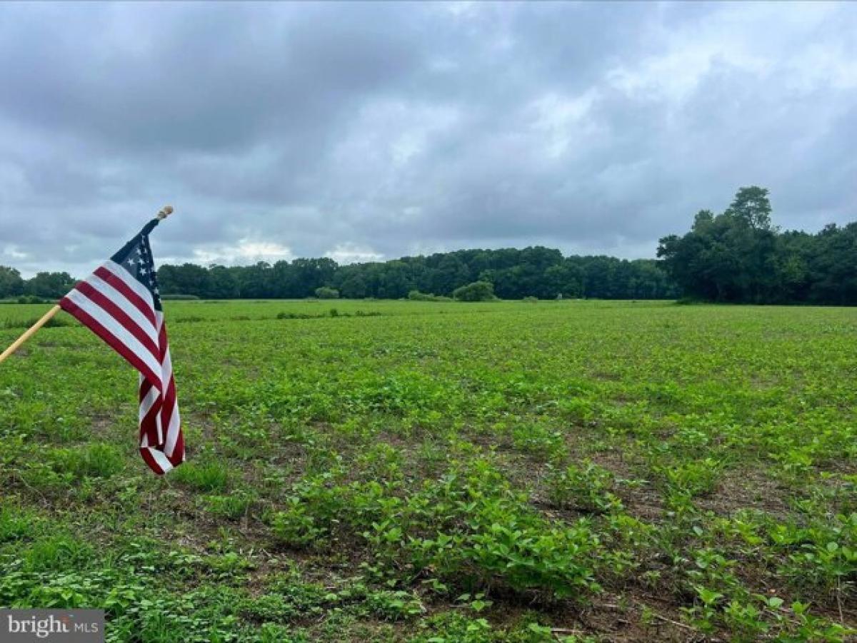 Picture of Residential Land For Sale in Bivalve, Maryland, United States