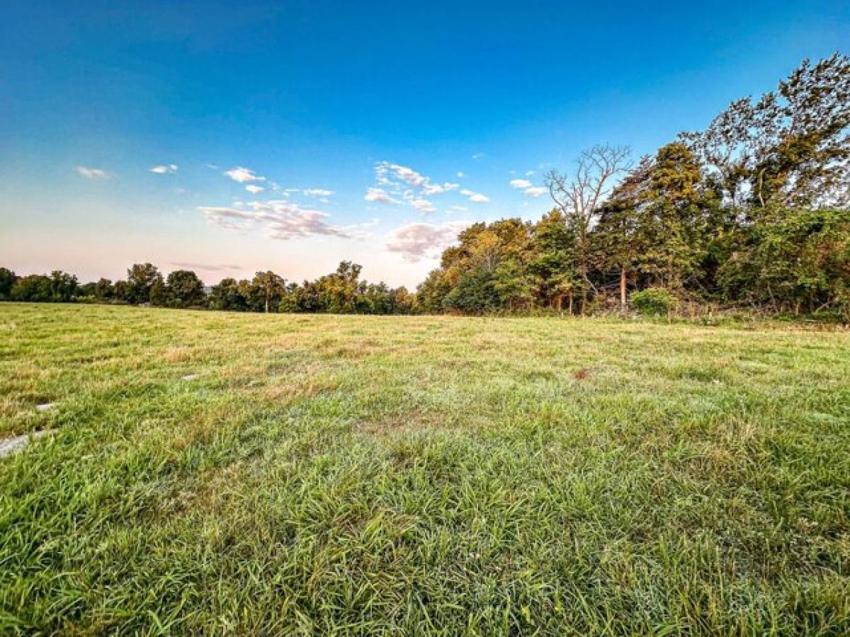 Picture of Residential Land For Sale in Seligman, Missouri, United States