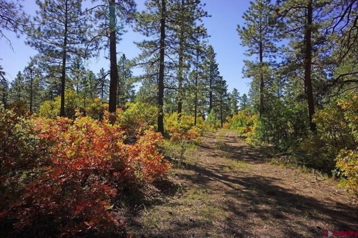 Picture of Residential Land For Sale in Mancos, Colorado, United States