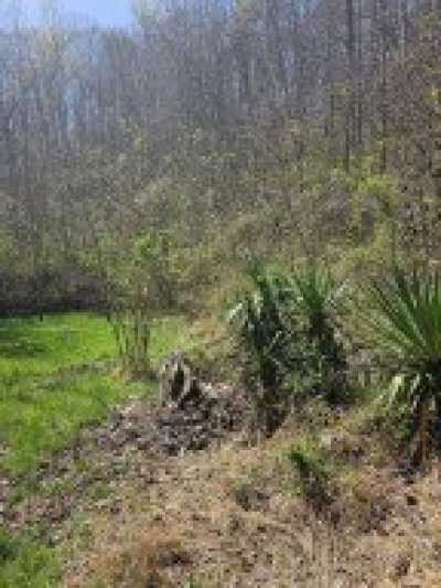 Residential Land For Sale in Seymour, Tennessee