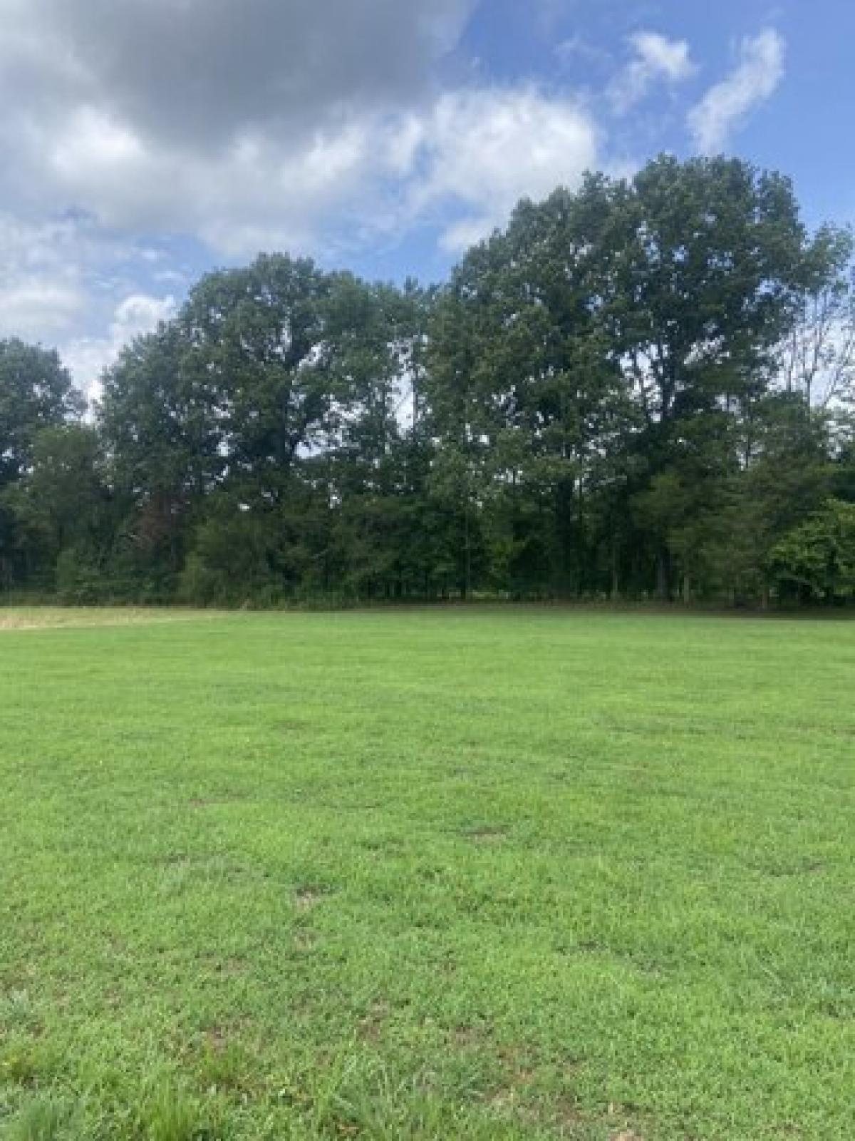 Picture of Residential Land For Sale in Clifton, Tennessee, United States