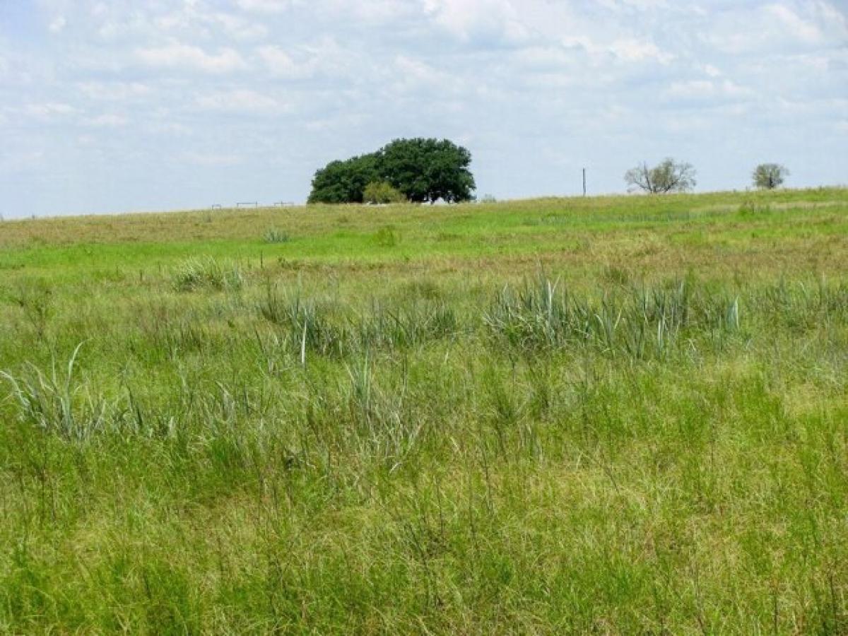 Picture of Residential Land For Sale in Gatesville, Texas, United States