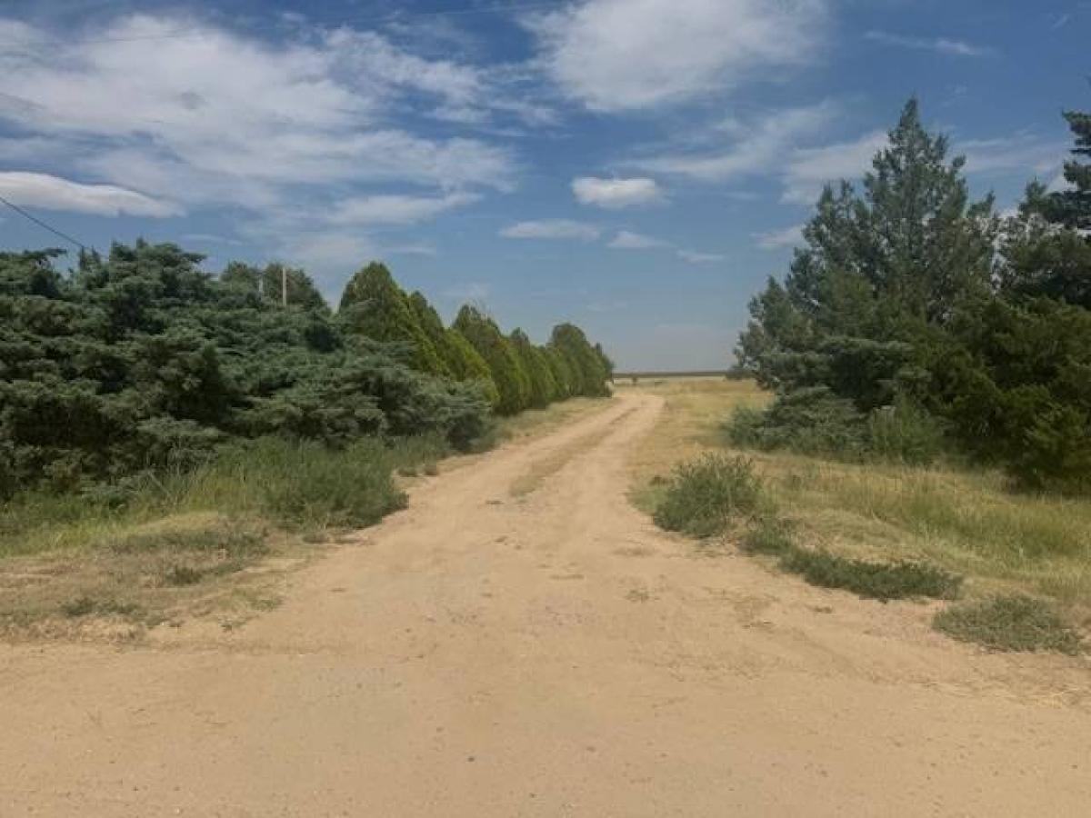 Picture of Residential Land For Sale in Syracuse, Kansas, United States