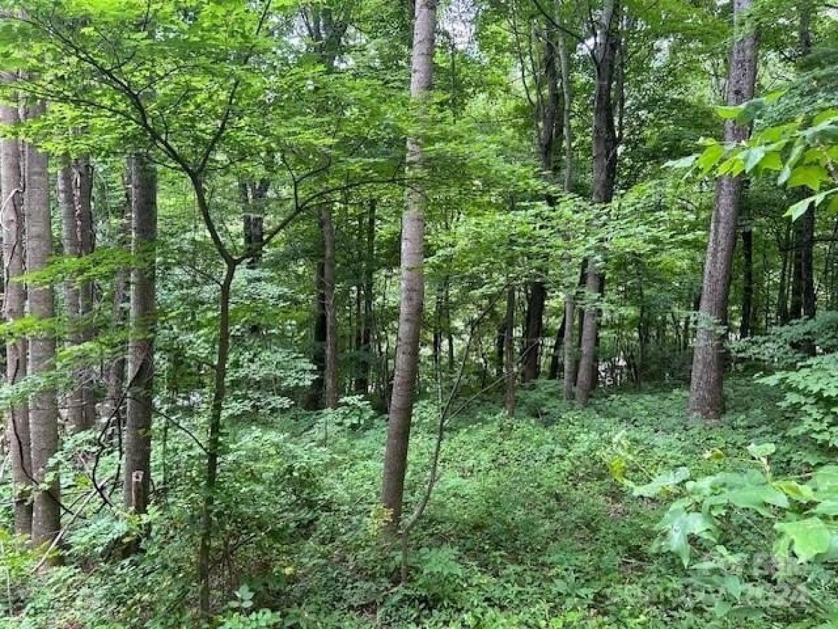 Picture of Residential Land For Sale in Black Mountain, North Carolina, United States