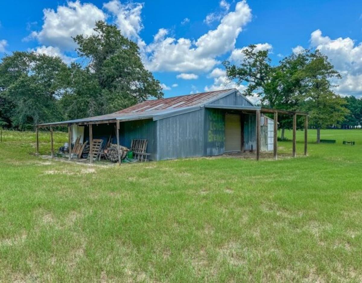 Picture of Residential Land For Sale in Centerville, Texas, United States