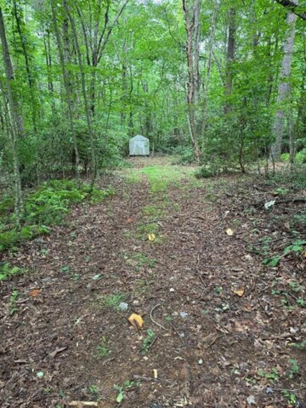 Picture of Home For Sale in Hillsville, Virginia, United States