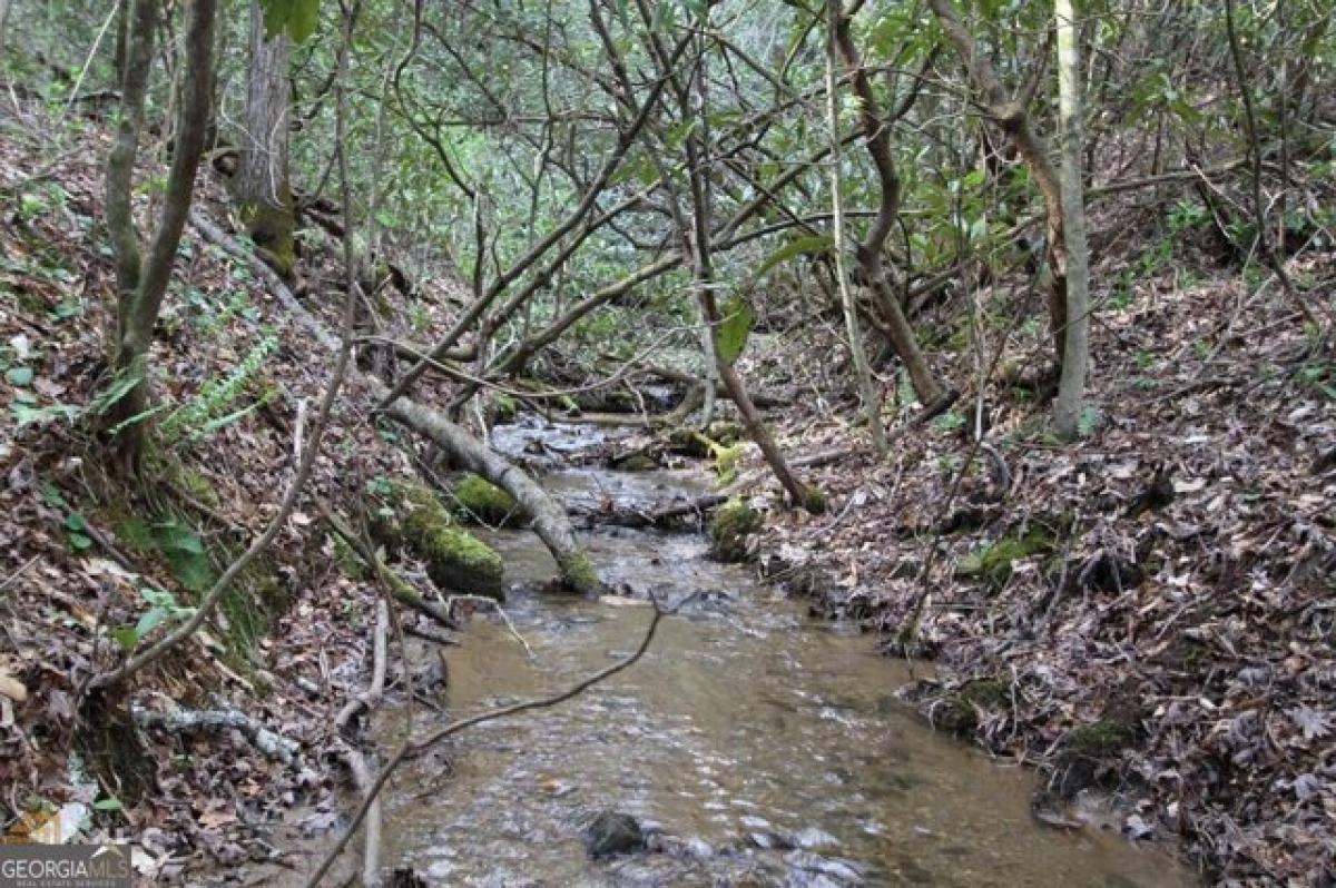 Picture of Residential Land For Sale in Dillard, Georgia, United States