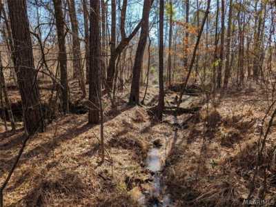 Residential Land For Sale in Eclectic, Alabama