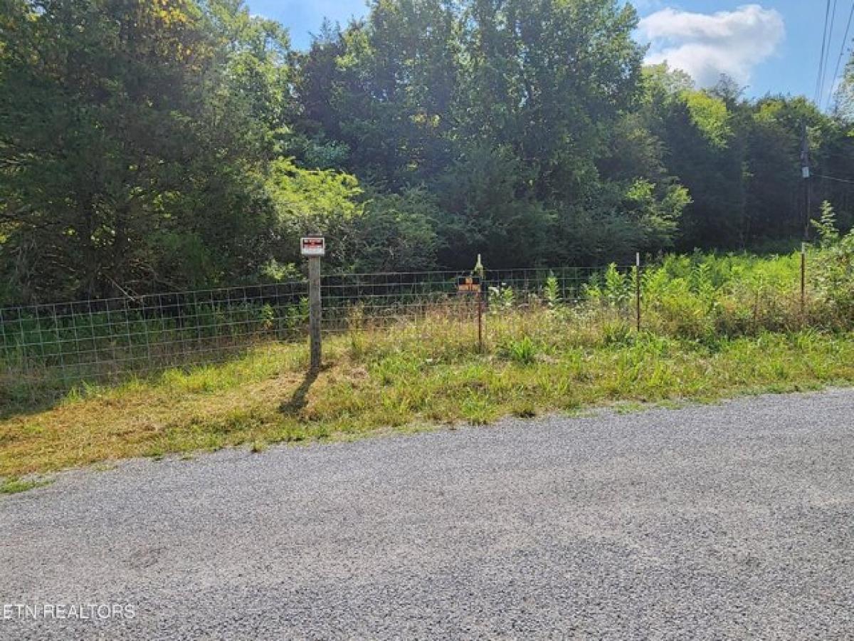 Picture of Residential Land For Sale in Gainesboro, Tennessee, United States