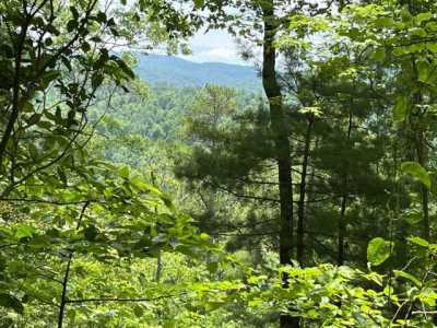 Residential Land For Sale in Hartford, Tennessee