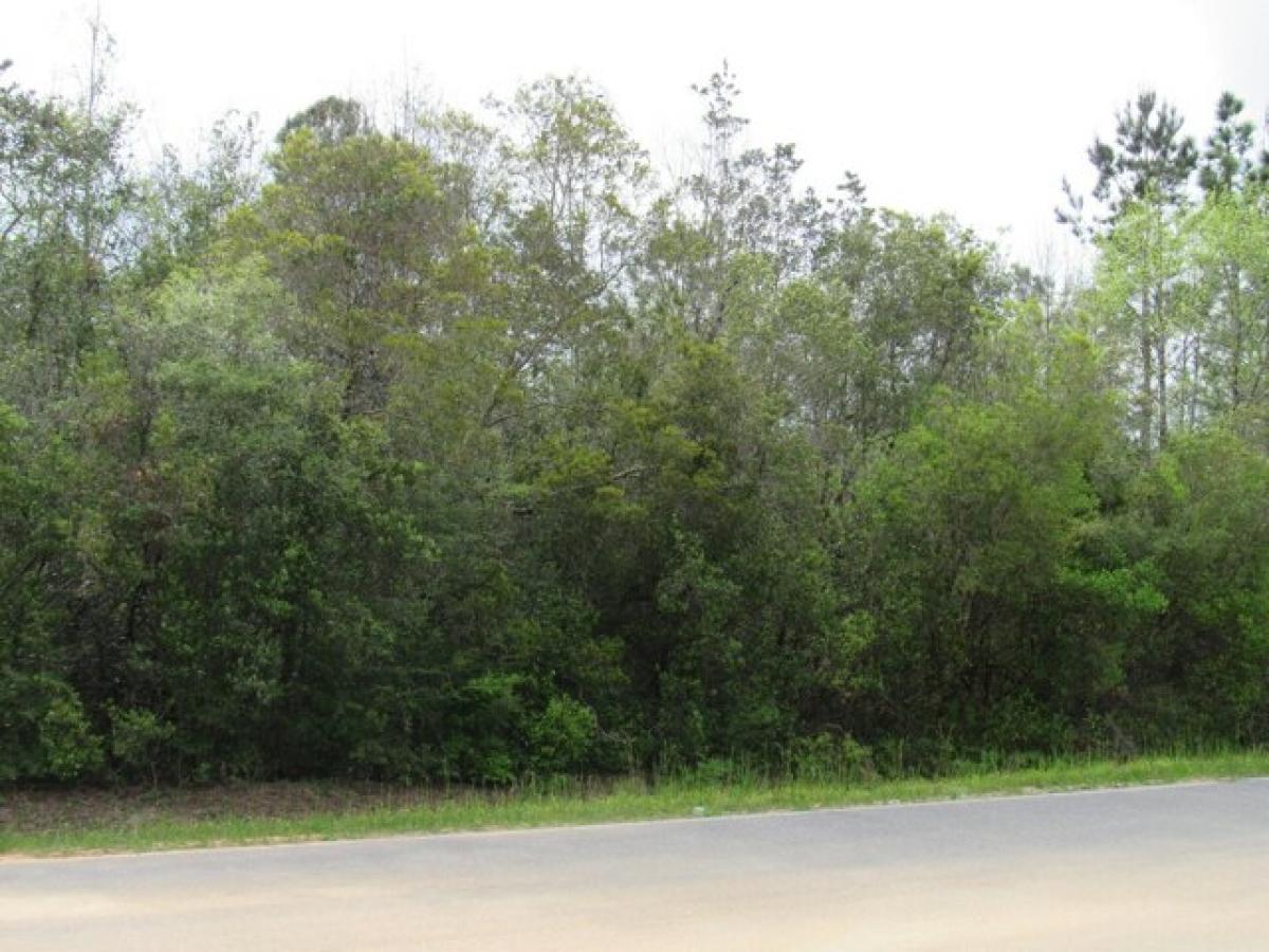 Picture of Residential Land For Sale in Defuniak Springs, Florida, United States