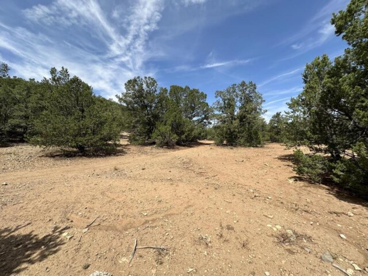 Picture of Residential Land For Sale in Tijeras, New Mexico, United States