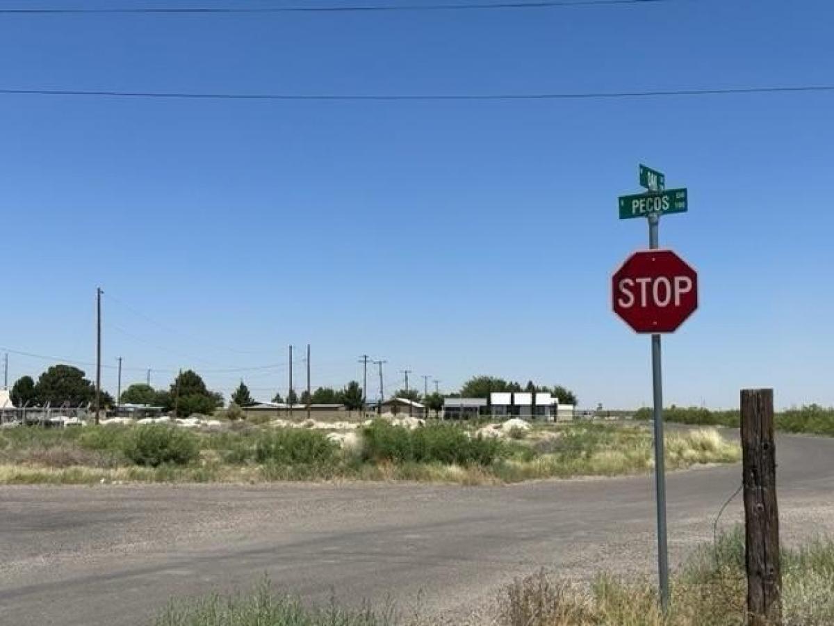 Picture of Residential Land For Sale in Pecos, Texas, United States