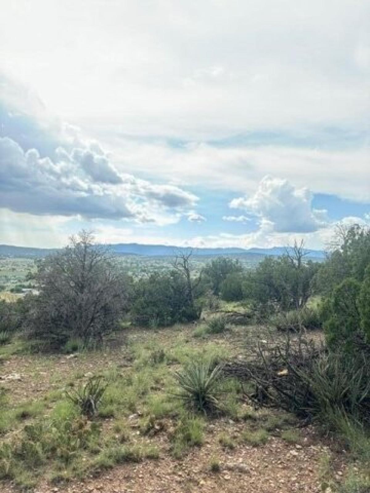 Picture of Residential Land For Sale in Edgewood, New Mexico, United States