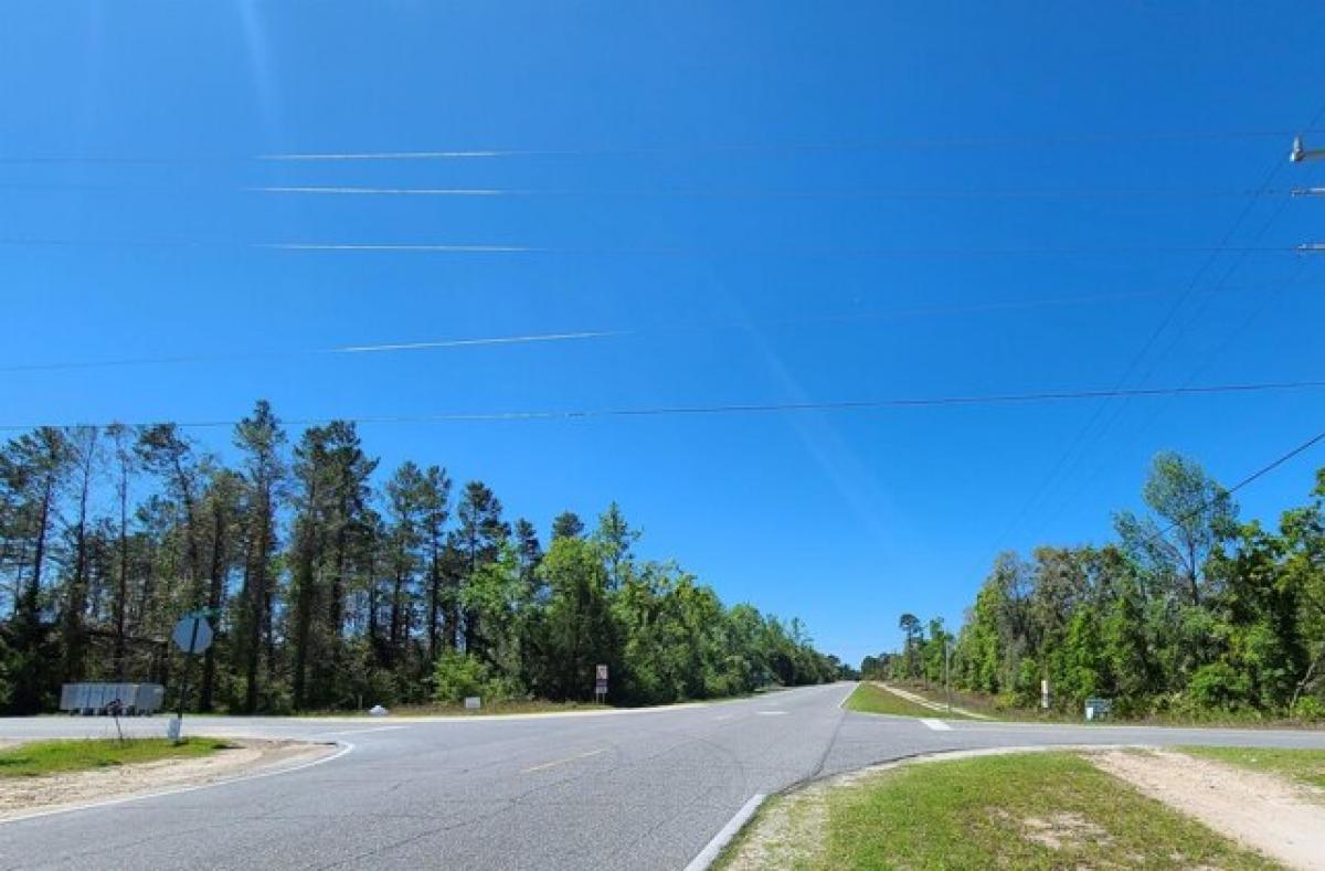 Picture of Residential Land For Sale in Perry, Florida, United States