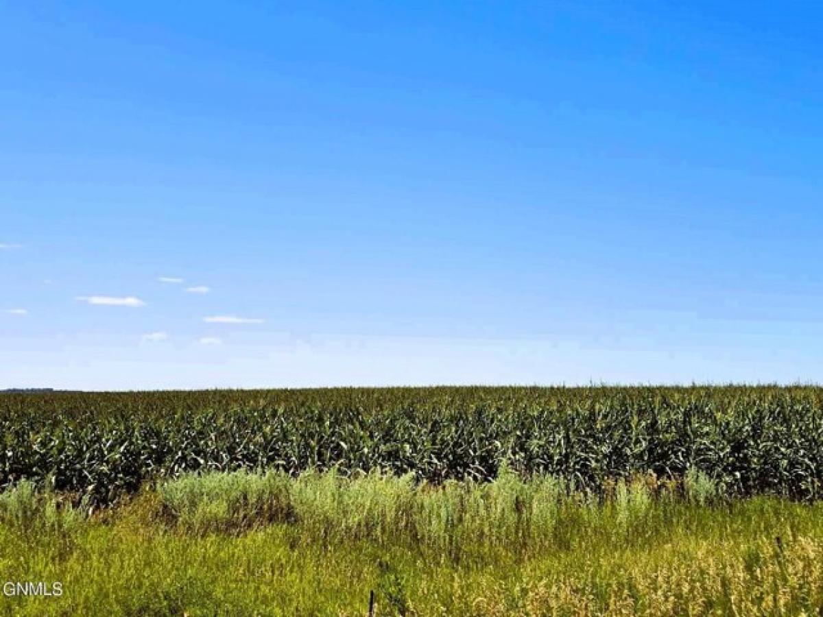 Picture of Residential Land For Sale in Hazen, North Dakota, United States