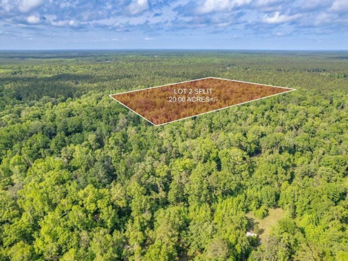 Picture of Residential Land For Sale in Crawfordville, Florida, United States