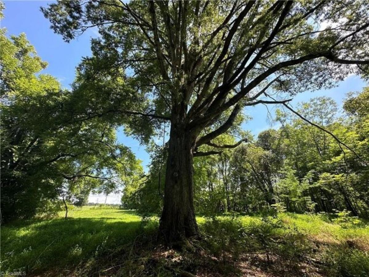 Picture of Residential Land For Sale in Statesville, North Carolina, United States