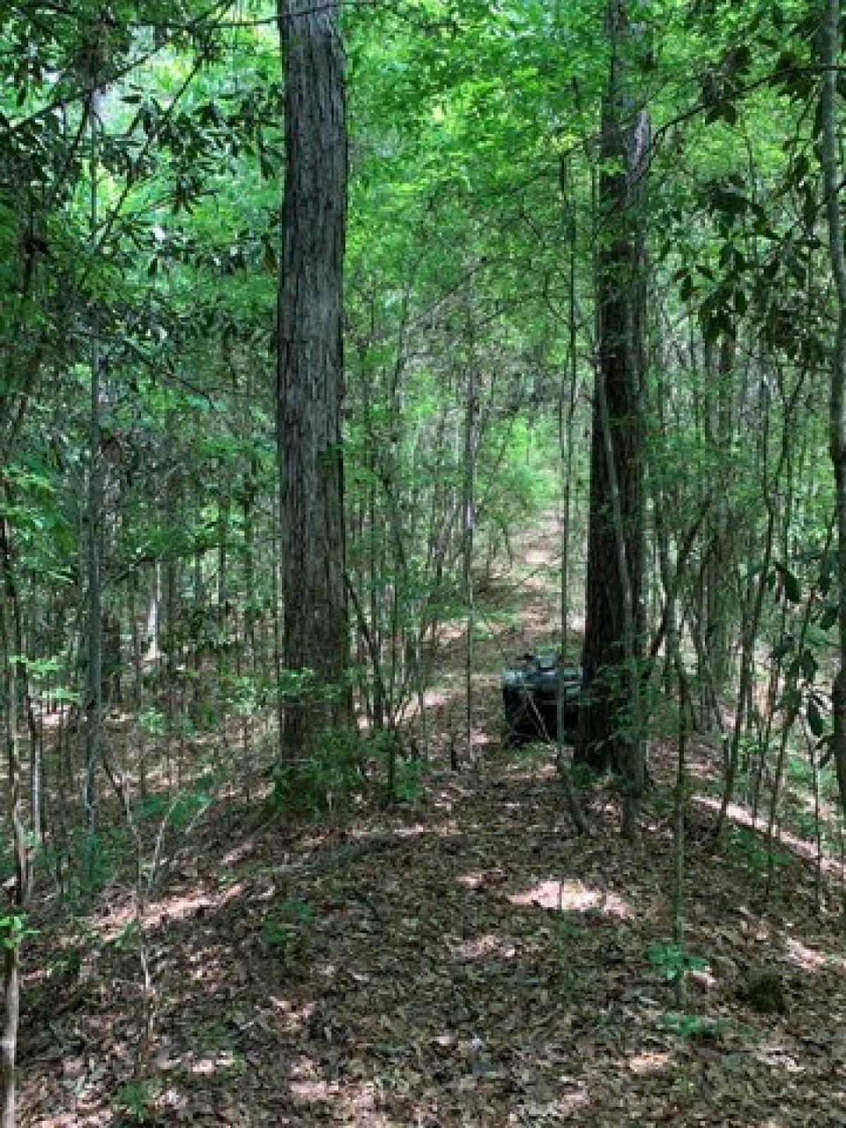 Picture of Residential Land For Sale in McCall Creek, Mississippi, United States